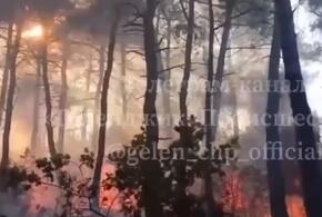В Геленджике вновь вспыхнул природный пожар