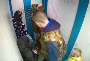 В Краснодаре собака в лифте напала на 4-летнего ребенка