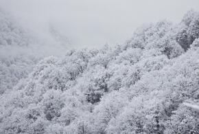 Зима идет на юг: горные поселки в Сочи завалит снегом