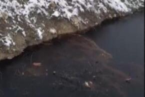 Сбросы с мусорного полигона вредных веществ в реку в Новороссийске расследует СКР