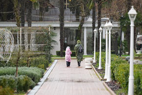  В парке «Ривьера» в Сочи монтируют новую систему освещения на центральной аллее