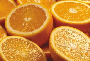 В порту Новороссийска обнаружили сотни тонн апельсинов с мухами