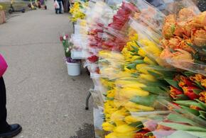Цветочный ступор: с утра 8 марта у рынков Краснодара наблюдаются пробки в 10 баллов