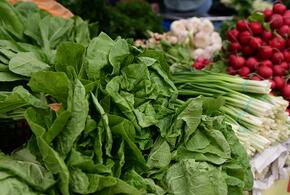 Первые весенние овощи начали продавать на сельскохозяйственных ярмарках Краснодара