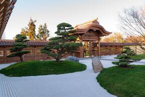 Правила посещения Японского сада в парке Галицкого изменили