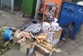В Краснодаре на мусорку выкинули хлеб