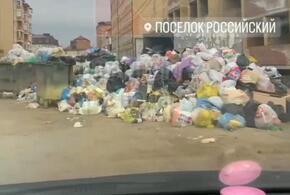Сплошная свалка: жители посёлка Российский в Краснодаре стали заложниками плохой работы коммунальщиков