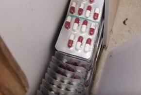 Торговля из туалета: почти 700 блистеров с психотропными таблетками нашли полицейские в аптеке в Сочи