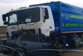В Краснодарском крае при столкновении с грузовиком погиб водитель иномарки