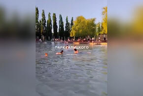 В парке Галицкого вновь заметили купающихся в фонтанах людей