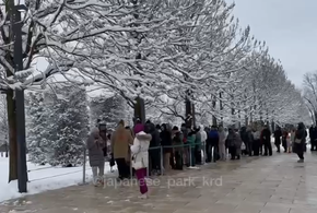 В парке Галицкого выстроились огромные очереди, чтобы увидеть Японский сад под снегом