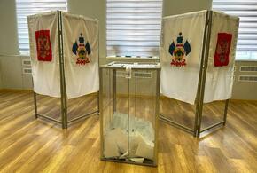 В первый день выборов президента РФ на Кубани проголосовали более 35 процентов избирателей