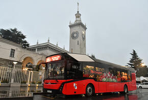 В Сочи между центром города и горным кластером начал ходить «цветочный» автобус