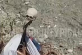 В Сочи на пляже женщина обнаружила насаженный на шест человеческий череп