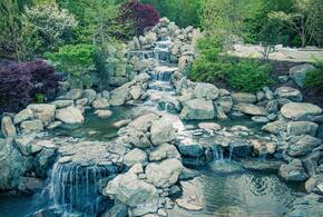 В японском саду парка Галицкого запустили самый большой водопад ВИДЕО