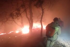 Почти 12 часов тушили пожар в Мысхако под Новороссийском