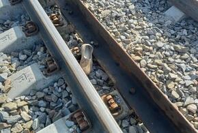 Поезд насмерть сбил пенсионера в Каневском районе