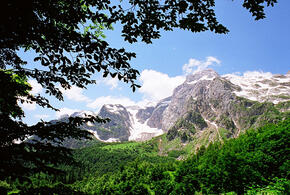 11 мая вход на все экскурсионные объекты Кавказского заповедника стал бесплатным
