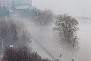 Заморозки и туман: нестабильная погода пришла на Кубань