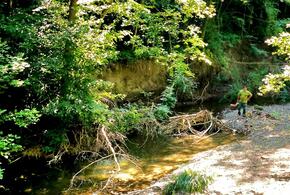 Бревна и коряги: русла рек в Туапсинском районе Кубани забил древесный мусор