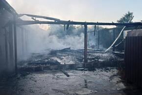 Двух жительниц Кубани обвинили в поджоге дегустационного зала в Абхазии