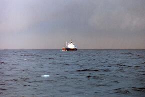 Корабль потерпел крушение в Аденском заливе, на помощь экипажу пришли моряки из Новороссийска 