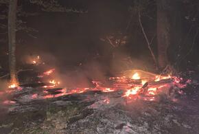 Лесной пожар у Геленджика тушили всю ночь