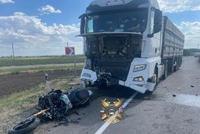 На Кубани 35-летний мотоциклист погиб в лобовом столкновении с грузовиком