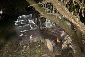 На Кубани мужчина, не имевший водительских прав, на машине врезался в дерево и погиб