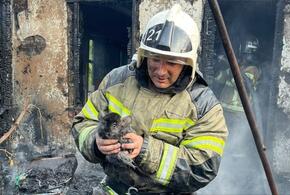 Трех непонятных зверьков спасли пожарные из выгоревшего дотла жилого дома в Краснодарском крае