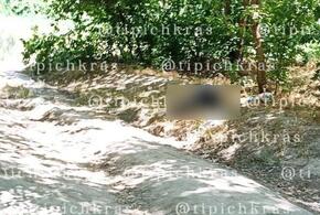 В лесопарке Краснодара прохожие обнаружили труп женщины