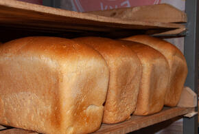 Как сильно подорожает хлеб на Кубани: мнение экспертов