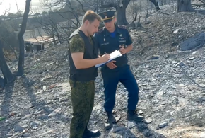 Халатность: в Краснодарском крае из-за ужасающего пожара возбудили уголовное дело