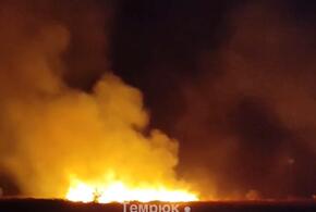 Сильный пожар случился в Темрюкском районе Кубани