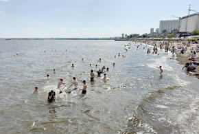 Слишком тёплое море: до 27 градусов прогрелась морская вода на Кубани, чем это грозит 